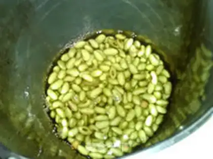 Make Soy soybeans step 3