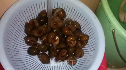 Make Spicy field snails step 3