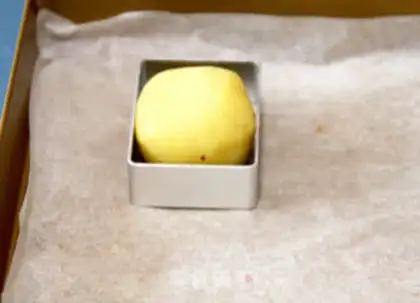 Make All pineapple pineapples step 24