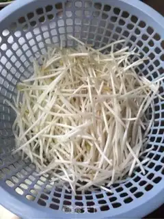 Make Pelican sprouts step 2