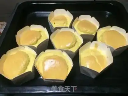Make CUPAKE step 7