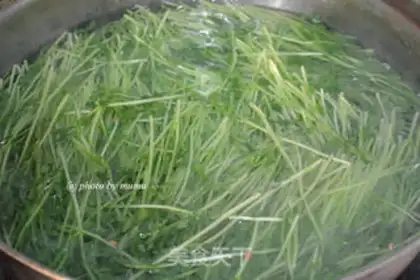 Make Cool pea seed step 4