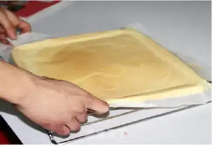 Make Double Cake Roll step 12