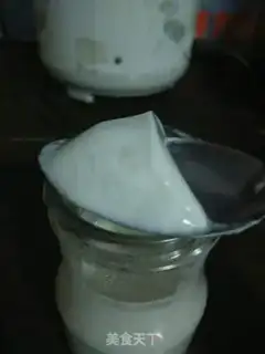 Make Homemade yogurt step 4