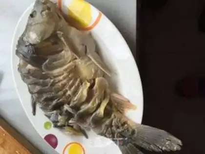 Make Onion carp step 8