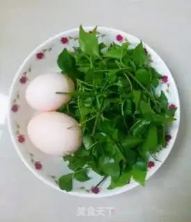 Make Wild omelet step 0