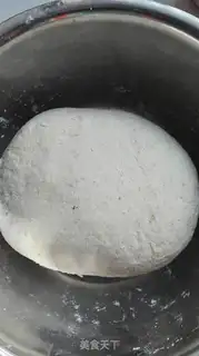 Make All-shell embryos step 2