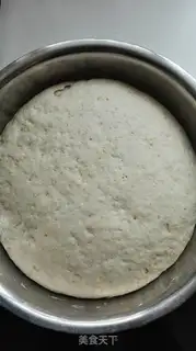 Make All-shell embryos step 3