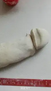 Make All-shell embryos step 4