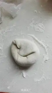 Make All-shell embryos step 5