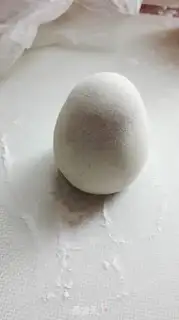 Make All-shell embryos step 6