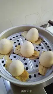 Make All-shell embryos step 7