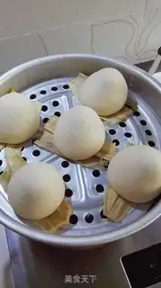 Make All-shell embryos step 8