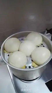 Make All-shell embryos step 9