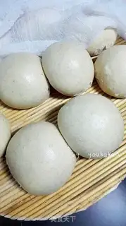 Make All-shell embryos step 10