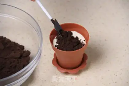 Make The plant step 11