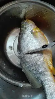 Make Vacuated yellowfish step 0