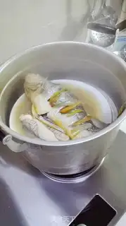Make Vacuated yellowfish step 3