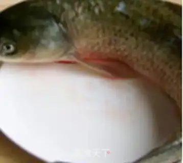 Make Northeast cookerfish step 0