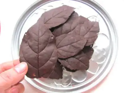 Make Chocolate leaves step 9