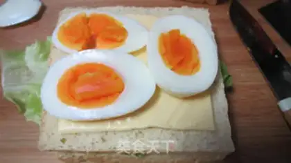 Make Salmon sandwich step 8