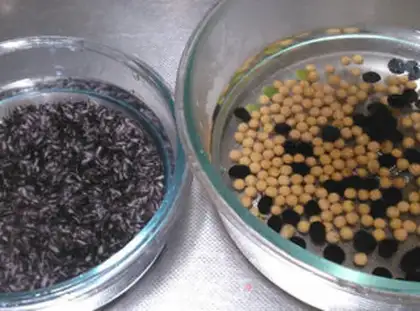 Make ♪ Purple meadow, beans, beans ♪ step 1