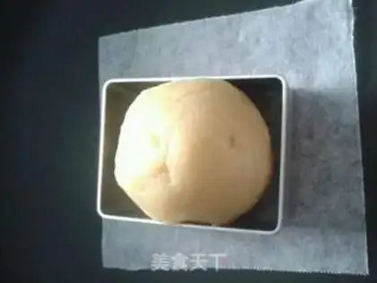 Make Pineapple step 12