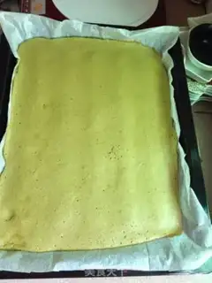 Make Panda roll step 16