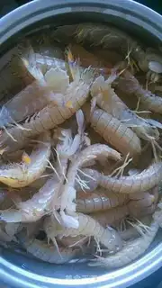 Make Skinned shrimp step 1