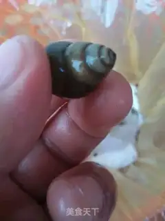 Make The snail step 1