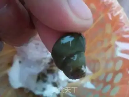 Make The snail step 2