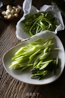 Make Mysid shrimp step 2