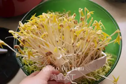 Make Bean sprouts step 2
