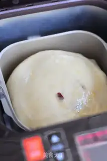 Make Cranberry bread step 7