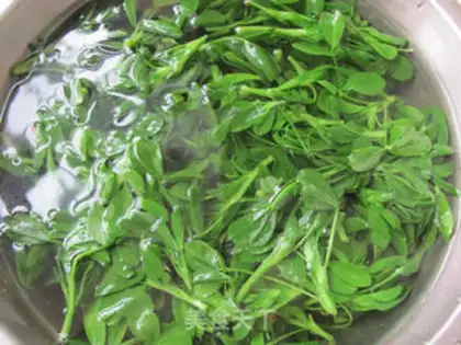 Make Salad juice step 3