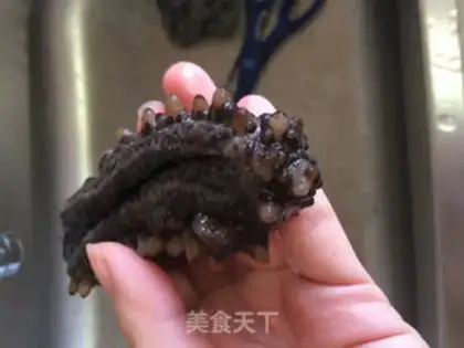Make Bubble sea cucumber step 3