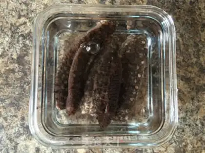Make Bubble sea cucumber step 6