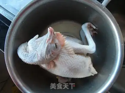 Make White pheasant step 0