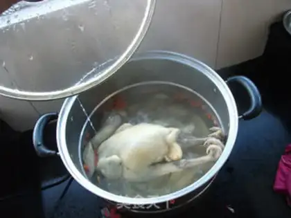 Make White pheasant step 1