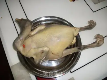 Make White pheasant step 2