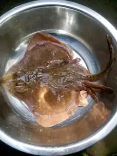 Make The boss fish step 1