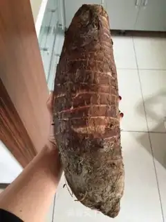 Make A taco step 0