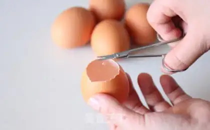 Make Eggshell pudding step 1