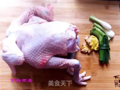 Make White pheasant step 2