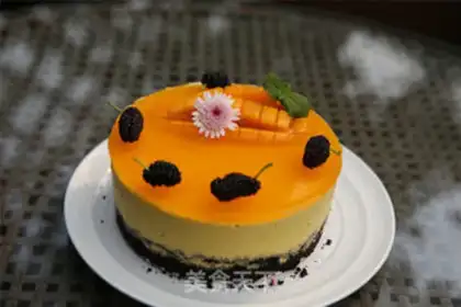 Make Mango Moose step 14