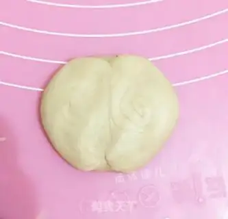 Make Coconut step 21