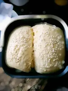 Make Simple bread step 9