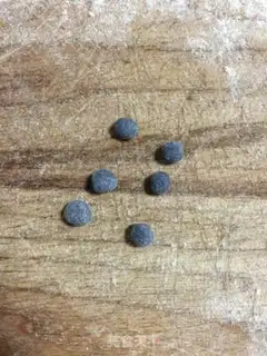 Make Panda bean bag step 14