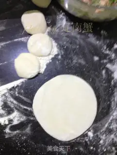 Make Pork pan sticker step 10