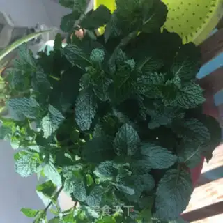 Make Mint pie step 0